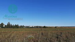 EC458340000 - zdjęcie nr 3