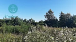 EC458340000 - zdjęcie nr 4