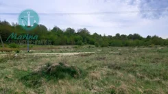 EC281067945 - zdjęcie nr 2