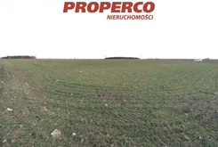 PRP-GS-74721 - zdjęcie nr 4