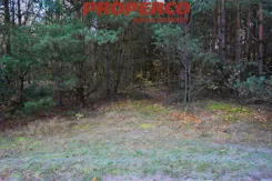 PRP-GS-75889 - zdjęcie nr 1