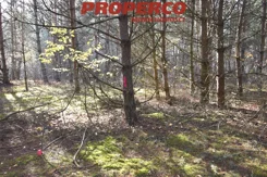 PRP-GS-75889 - zdjęcie nr 2