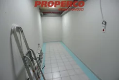 PRP-LW-72827 - zdjęcie nr 1