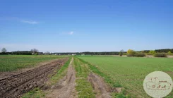 435/4398/OGS - zdjęcie nr 0