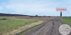 435/4398/OGS - zdjęcie nr 2