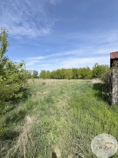532/4398/OGS - zdjęcie nr 4