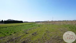 569/4398/OGS - zdjęcie nr 4