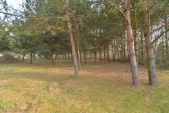 20798 - zdjęcie nr 2
