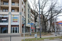 20561 - zdjęcie nr 3