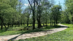 20964 - zdjęcie nr 2