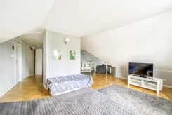 481 - zdjęcie nr 4
