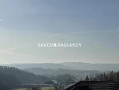 BS2-DS-314861-9 - zdjęcie nr 4