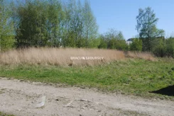 BS1-GS-312691-50 - zdjęcie nr 2