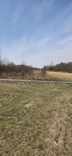 LMN-GS-314417 - zdjęcie nr 0