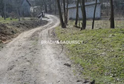 BS1-GS-312635-439 - zdjęcie nr 0