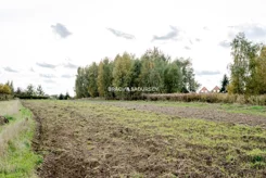BS3-GS-313848 - zdjęcie nr 4