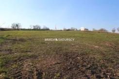 BS1-GS-287057-252 - zdjęcie nr 4