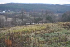 BS1-GS-312660-300 - zdjęcie nr 4