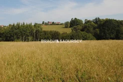 BS1-GS-312657-456 - zdjęcie nr 3