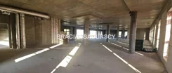 BS2-LW-309769-16 - zdjęcie nr 2
