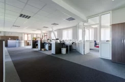 BS3-LW-215944-51 - zdjęcie nr 0