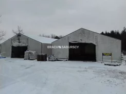 BS3-BS-248616-25 - zdjęcie nr 4