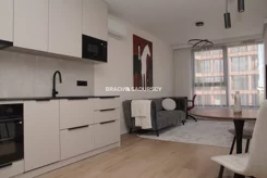 BS3-MW-314774-1 - zdjęcie nr 1