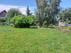 399820235 - zdjęcie nr 2