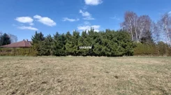 400230235 - zdjęcie nr 0