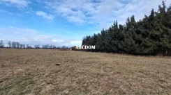 400230235 - zdjęcie nr 5