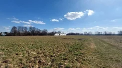 400220235 - zdjęcie nr 0