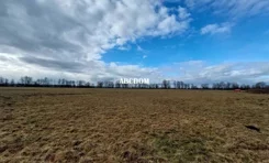 400220235 - zdjęcie nr 4