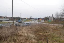 342310235 - zdjęcie nr 5