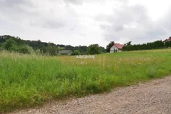 399150235 - zdjęcie nr 1