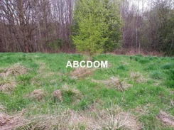 364760235 - zdjęcie nr 1