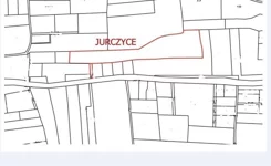 376230235 - zdjęcie nr 2