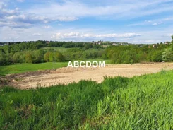 390920235 - zdjęcie nr 0