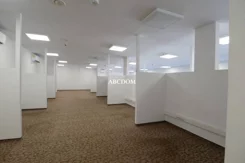 372930235 - zdjęcie nr 0