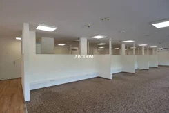 372930235 - zdjęcie nr 2