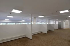 372930235 - zdjęcie nr 3