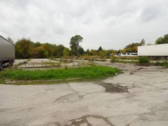 393210235 - zdjęcie nr 0