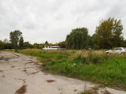 393210235 - zdjęcie nr 2