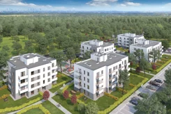 Zielone Zamienie VIII - zdjęcie nr 2