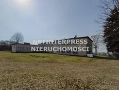 NET-BS-1916 - zdjęcie nr 0