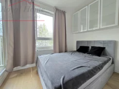 2420 - zdjęcie nr 4