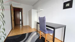 2353 - zdjęcie nr 2