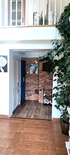 568 - zdjęcie nr 2