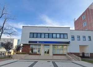 Biuro 503,12 m², Stara Biała, 3 Maja, Wynajem