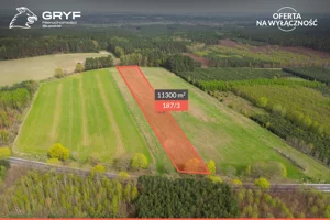 Działka 11 300,00 m², Kępice, Sprzedaż