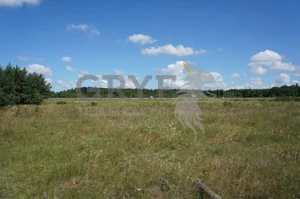 Działka 3 010,00 m², Kobylnica, Sprzedaż